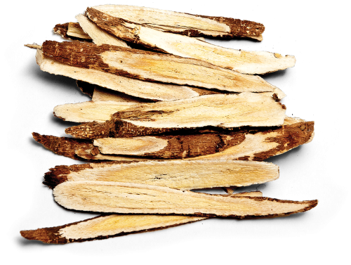 Astragalus root, powder